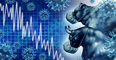 Liontrust Insights: The bull and bear cases for the stock market