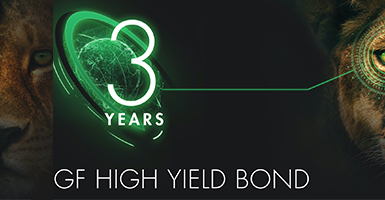 Why high yield bonds are an evergreen asset