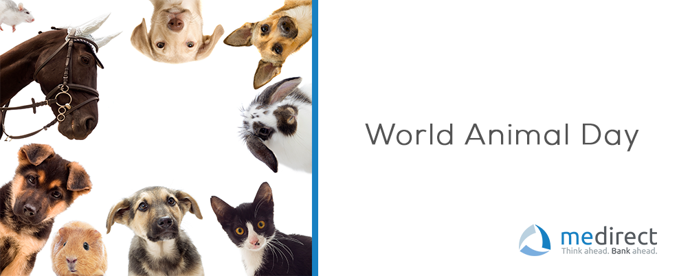 World Animal Day – MeDirect
