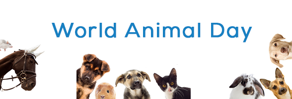 World Animal Day