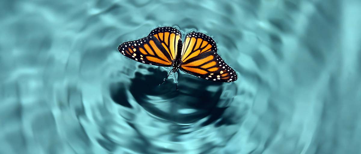 Franklin Templeton Thoughts: Banks and the butterfly effect—the global ramifications