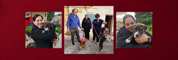 MeDirect staff support Gozo SPCA